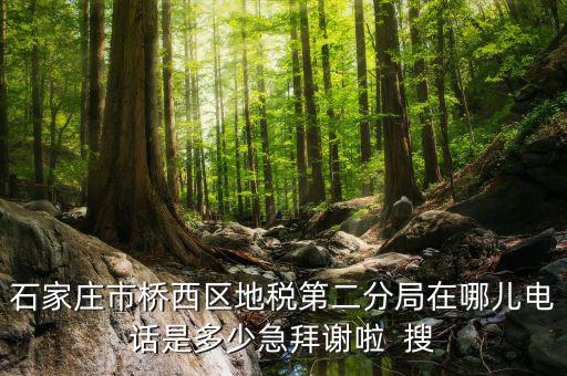 地稅二分局是做什么的，地稅科查局是做什么的