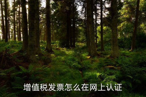 發(fā)票認證需要什么軟件下載，國稅發(fā)票認證需要準備那些資料 到大廳辦的時候工作人員叫我拿U盤