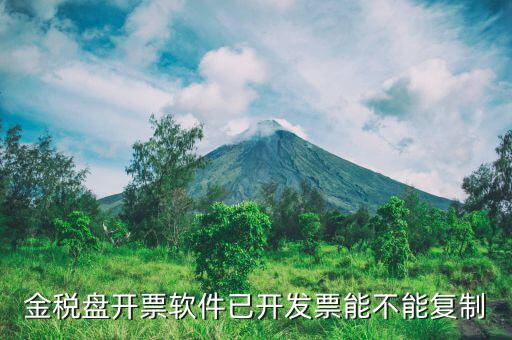 什么發(fā)票能進行復制發(fā)票操作，如何將Excel中制作的發(fā)票專業(yè)發(fā)票復制到Word文檔中并且格式
