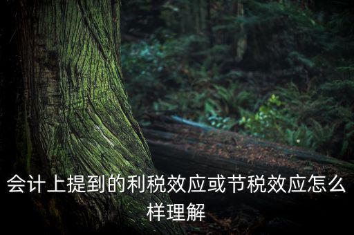 節(jié)稅效應(yīng)是節(jié)的什么稅，什么是節(jié)稅額