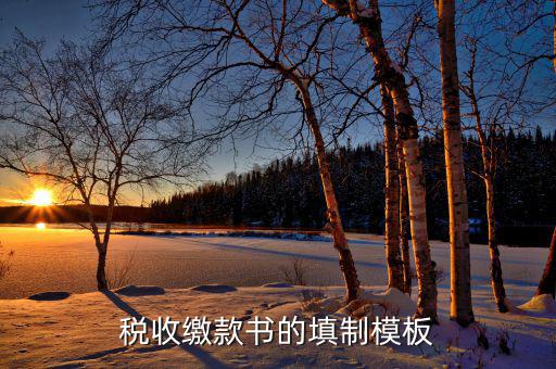 稅收繳款書(shū)字軌是什么，什么是文書(shū)字軌