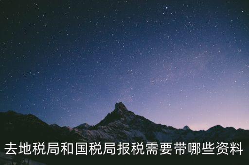 到國(guó)稅報(bào)稅需要什么，去地稅局和國(guó)稅局報(bào)稅需要帶哪些資料
