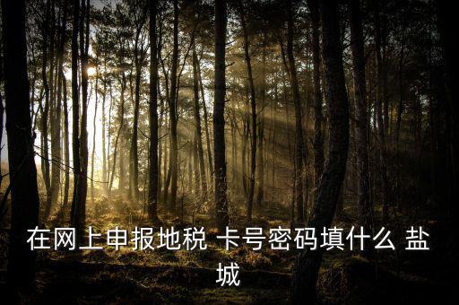 微信申報(bào)地稅的密碼是什么，地稅申報(bào)的用戶(hù)名和密碼是什么