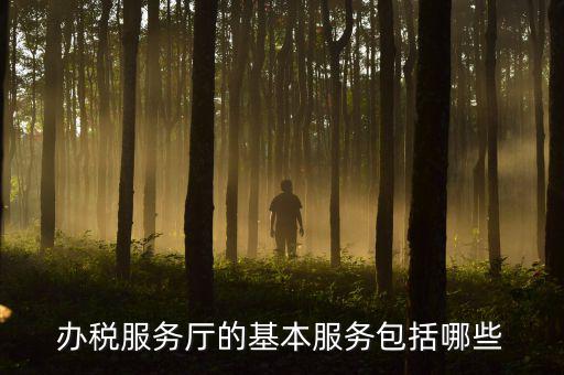 一體化辦稅服務(wù)廳是什么，辦稅服務(wù)廳的基本服務(wù)包括哪些