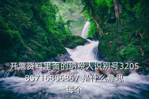 納稅人稅務(wù)識(shí)別號(hào)是什么意思，納稅人識(shí)別碼是什么