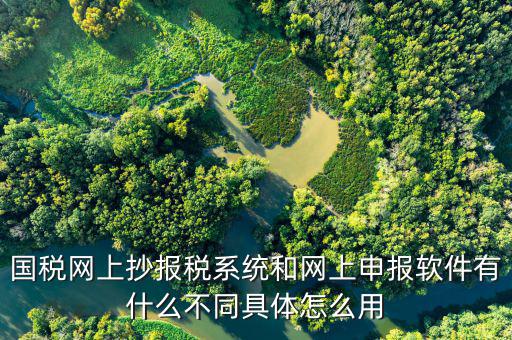 國稅申報(bào)軟件是什么意思，你用過網(wǎng)上申報(bào)軟件嗎是申報(bào)什么的我們公司有河北國稅納稅人端