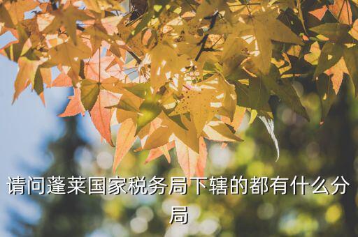 國稅局分局有什么，豐縣國稅局有幾個(gè)分局