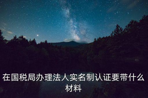 服務(wù)廳實名辦稅要帶什么，服務(wù)業(yè)辦稅務(wù)登記要些什么證件