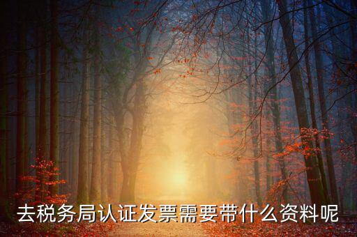 發(fā)票認證都需要帶什么，去開票大廳認證發(fā)票需要帶什么資料