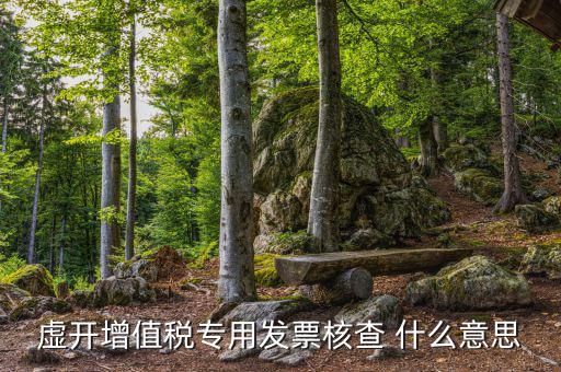 發(fā)票核定是什么意思，核定是什么意思名詞解釋一下