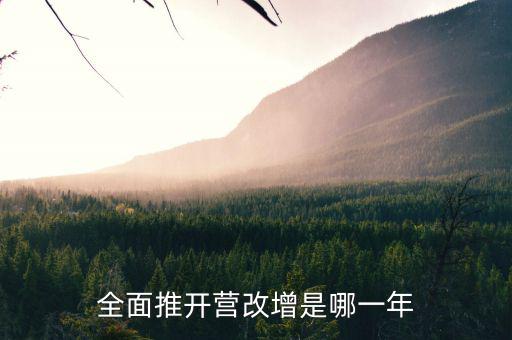 17年營改增改了什么時候，全面推開營改增是哪一年