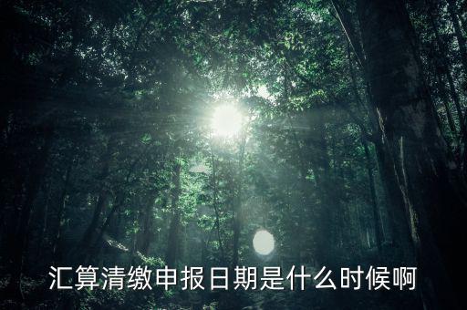 江西省匯算清繳什么時(shí)候開(kāi)始，所得稅匯算清繳的時(shí)間一般是在什么時(shí)候呢是每年都必須要做嗎