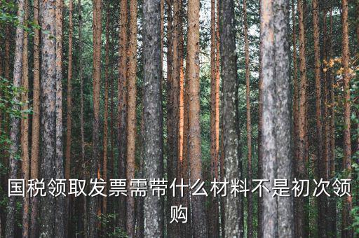 國(guó)稅領(lǐng)發(fā)票需要帶什么，去稅務(wù)局領(lǐng)發(fā)票需要帶什么資料去