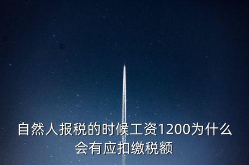 自然人報(bào)稅為什么，自然人辦稅服務(wù)平臺(tái)實(shí)名注冊(cè)的目的是什么