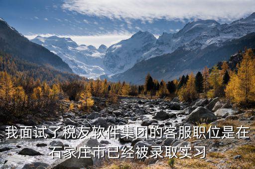 稅友客服是做什么的，我是一名剛畢業(yè)的?？粕罱鼞噶艘粋€稅友集團廣東分公司 的售