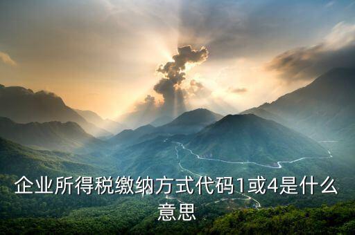 征收代碼是什么意思，工商所開的非稅收入收款收據(jù)上的代碼是什么意思