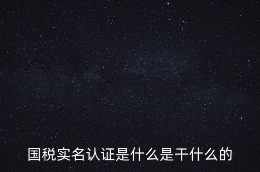 國稅實名制認證要什么，國稅實名認證是什么是干什么的