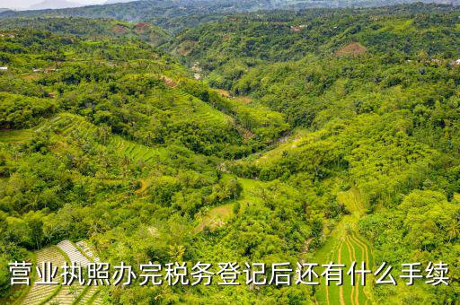 稅務(wù)登記以后需要什么，公司設(shè)立后辦理稅務(wù)登記要準(zhǔn)備哪些資料