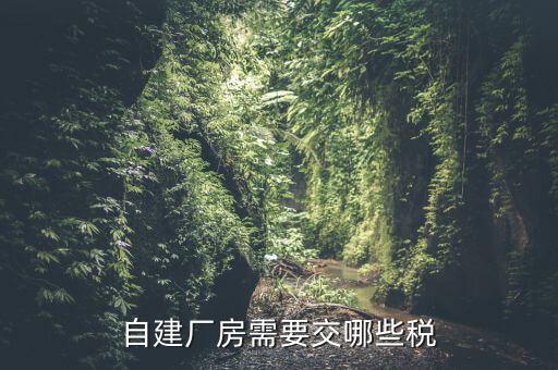 建廠房需要交什么稅，自建廠房需要交哪些稅