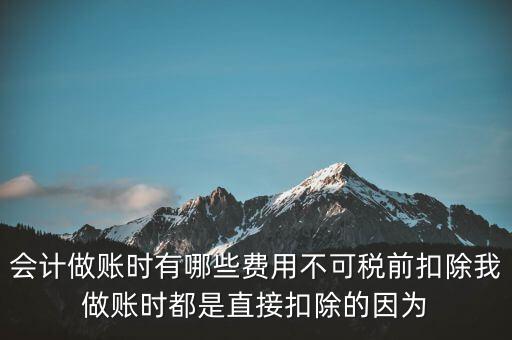 什么不可以稅前扣除嗎，納稅人哪些支出不能在企業(yè)所得稅前扣除