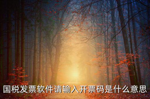 開(kāi)票二維碼是什么軟件，天津國(guó)稅通用機(jī)打發(fā)票二維碼包含的內(nèi)容解碼軟件