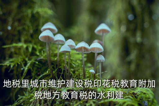 水利建設(shè)基金的計(jì)稅基礎(chǔ)是什么，計(jì)稅基礎(chǔ)是什么意思