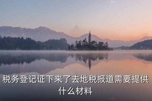 國地稅報道需要什么，地稅報道需要什么材料2016最新的