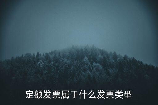 定額發(fā)票什么，河南省地稅定額發(fā)票怎么查詢