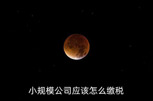 小規(guī)模公司按什么交稅嗎，一個小規(guī)模納稅公司國稅和地稅應(yīng)該都分別交什么稅