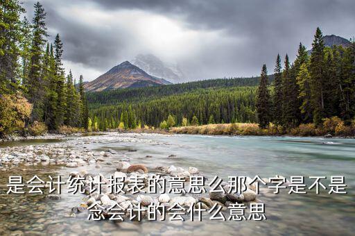 統(tǒng)計納稅申報表是什么，請問納稅申報中的基礎表數(shù)據(jù)中的基礎表是指什么