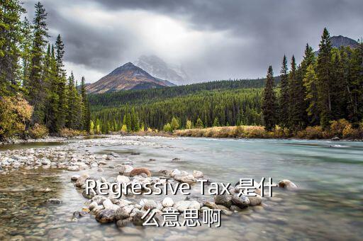 什么是稅收穿透，passthrough taxation是什么意思是直接繳稅嘛