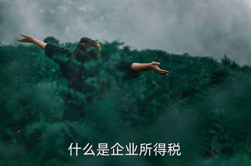 什么是企業(yè)所得稅率，什么是企業(yè)所得稅