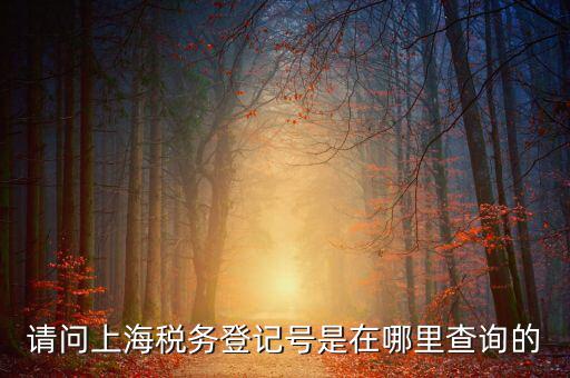 上海的稅務賬號是什么，請問上海稅務登記號是在哪里查詢的