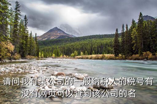 請問我有某公司的一般納稅人的稅號有沒有網頁可以查到該公司的名