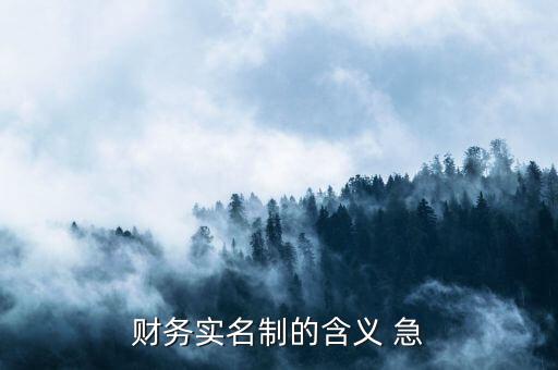 稅務(wù)實(shí)名制是什么意思，財(cái)務(wù)實(shí)名制的含義 急