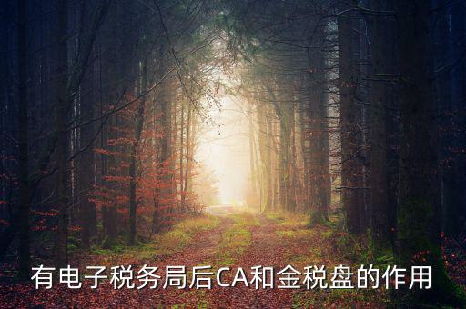 電子稅務(wù)局有什么用，有電子稅務(wù)局后CA和金稅盤(pán)的作用