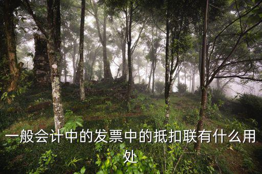 一般會計(jì)中的發(fā)票中的抵扣聯(lián)有什么用處