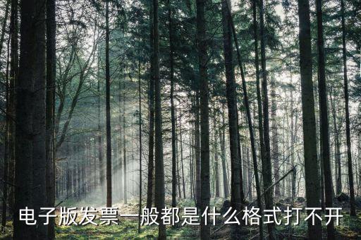 微發(fā)票助手是什么格式，exa是什么格式