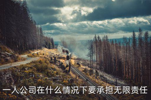 什么人承擔(dān)無(wú)限納稅義務(wù)，什么人不用納稅