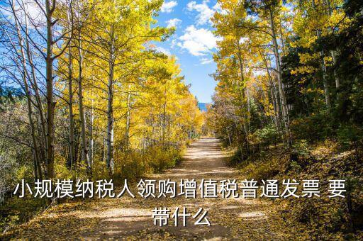 領增值稅普通發(fā)票需要什么資料，小規(guī)模納稅人領購增值稅普通發(fā)票 要帶什么