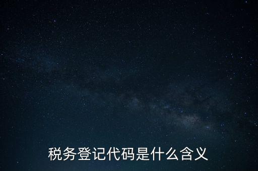 國稅發(fā)票認(rèn)證登錄代碼是什么意思，國稅局發(fā)票軟件里用戶代碼和密碼是什么