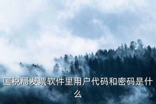 網(wǎng)上認(rèn)證發(fā)票平臺(tái)密碼是什么樣的，國(guó)稅局發(fā)票軟件里用戶代碼和密碼是什么
