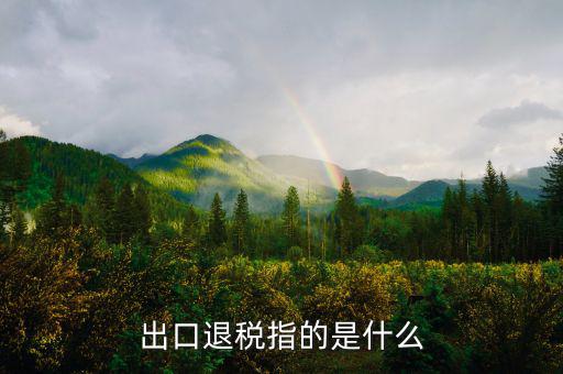 出口退稅 2c差指什么，出口退稅指的是什么