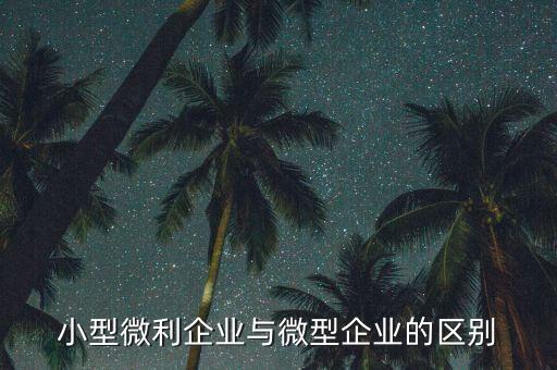 小型微利企業(yè)指的是什么，小型微利企業(yè)與微型企業(yè)的區(qū)別