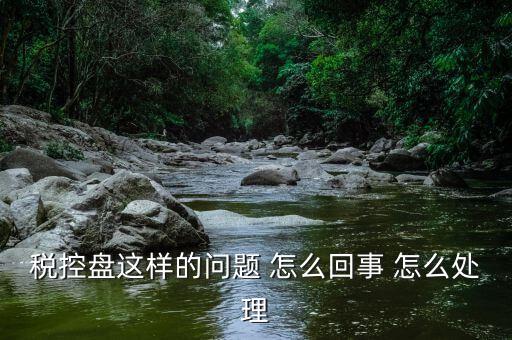 為什么稅控盤升級，稅控盤這樣的問題 怎么回事 怎么處理