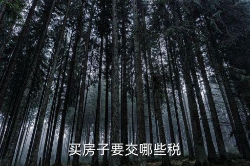 買稅需要什么手續(xù)費(fèi)，購(gòu)買車輛購(gòu)置稅需要哪些手續(xù)