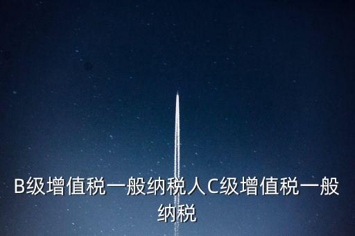 納稅用戶(hù)c級(jí)企業(yè)是什么意思，B級(jí)增值稅一般納稅人C級(jí)增值稅一般納稅