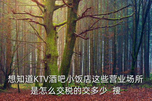 ktv交納什么稅，想知道KTV酒吧小飯店這些營業(yè)場所是怎么交稅的交多少  搜