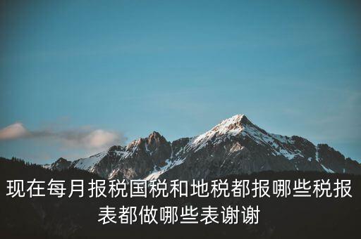 國稅報(bào)什么，現(xiàn)在每月報(bào)稅國稅和地稅都報(bào)哪些稅報(bào)表都做哪些表謝謝