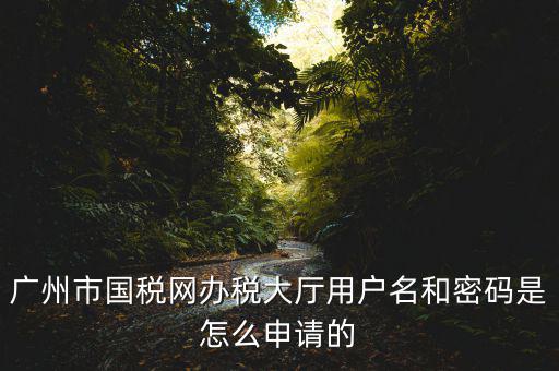 廣州國稅官網登錄密碼是什么原因，國稅第一次網上申報的登陸密碼是什么
